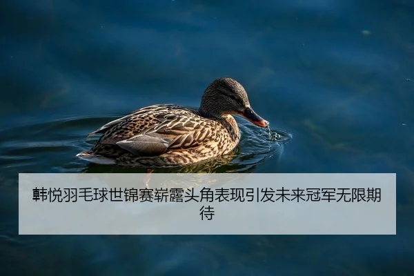 韩悦羽毛球世锦赛崭露头角表现引发未来冠军无限期待
